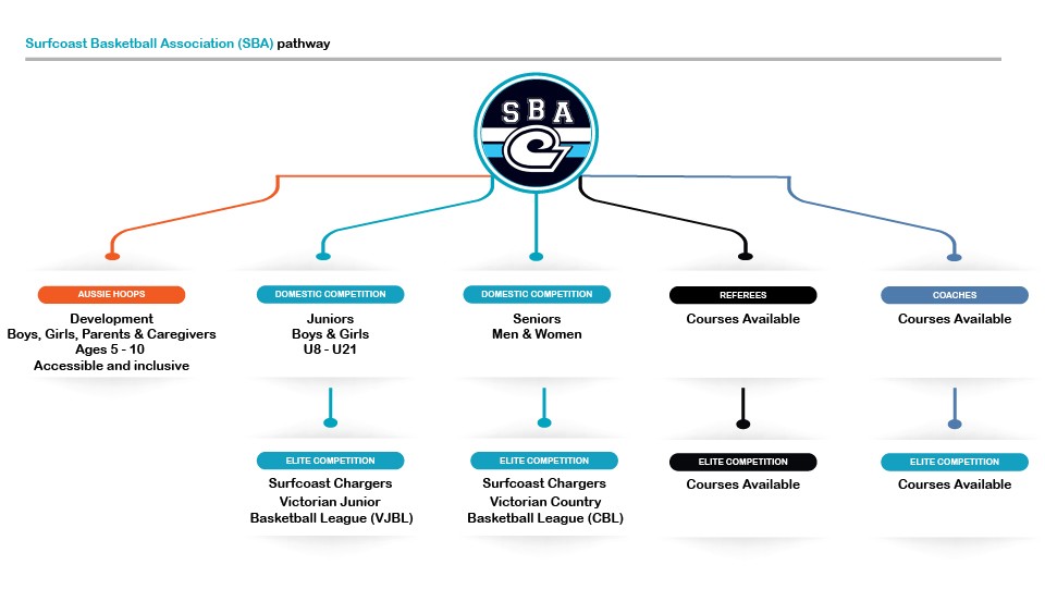 SBA pathway SBA pathway